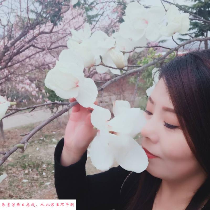 李沧卸火少妇 第1张