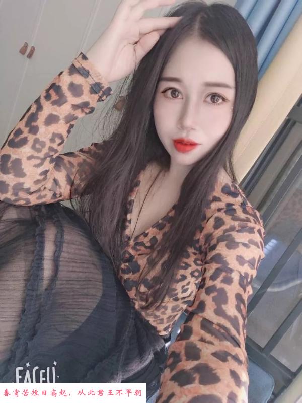 武侯区豹纹妹子豆豆 第1张