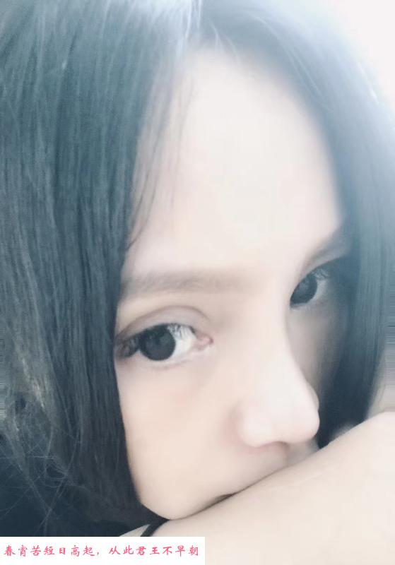 电动小马达 第1张