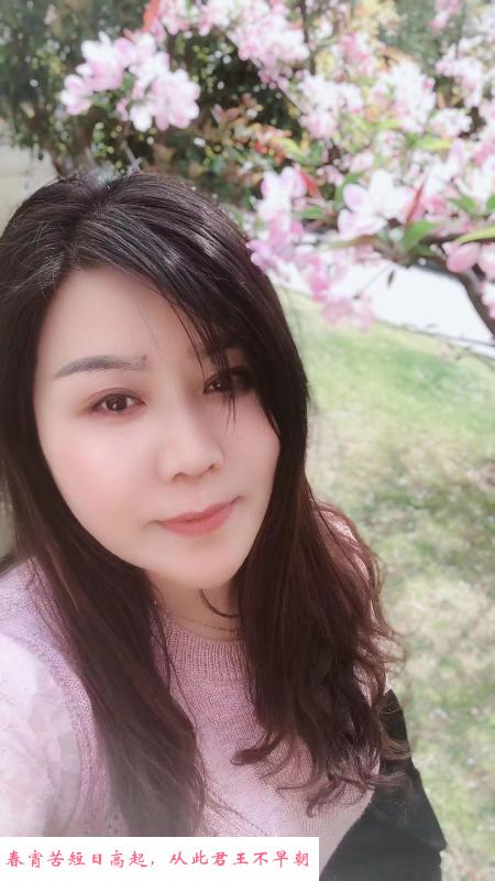 上海黄埔姐 第1张