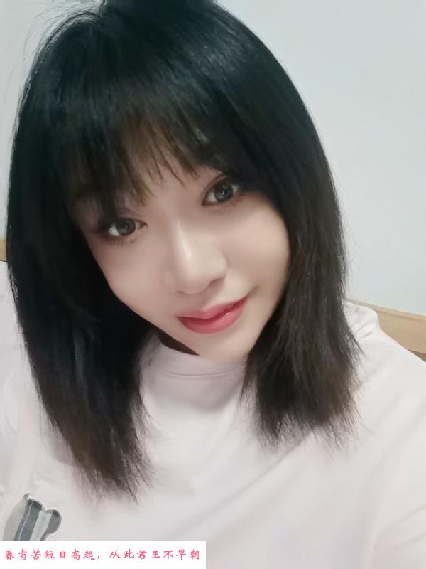 北辰玫瑰女人 第1张