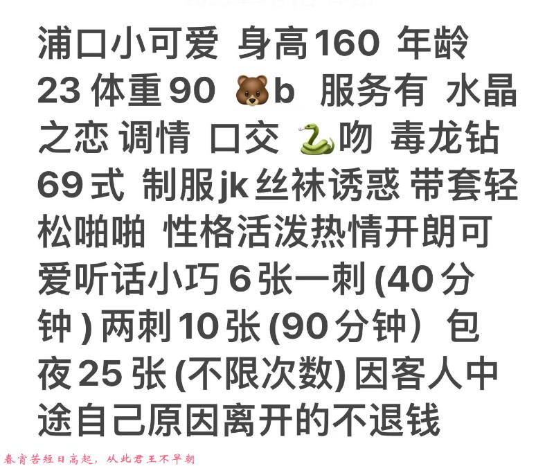 桥北弘扬个人小可爱 第1张
