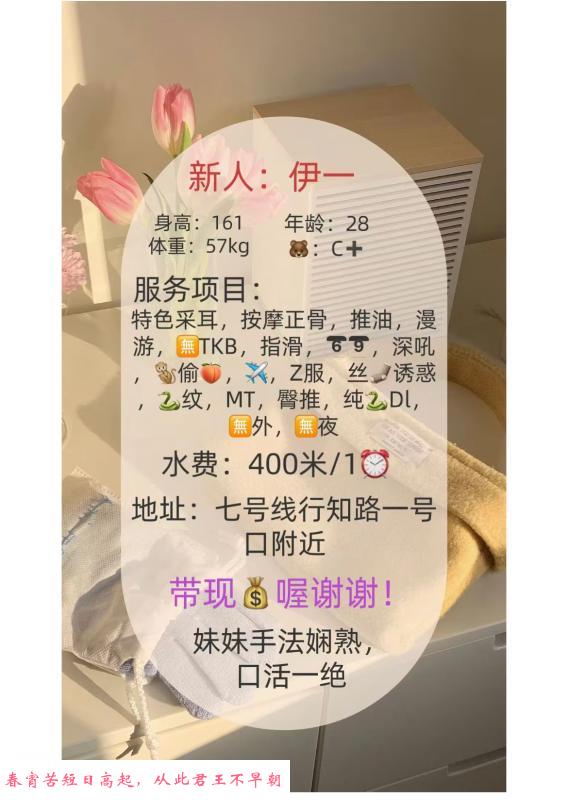 静安伊一 第3张