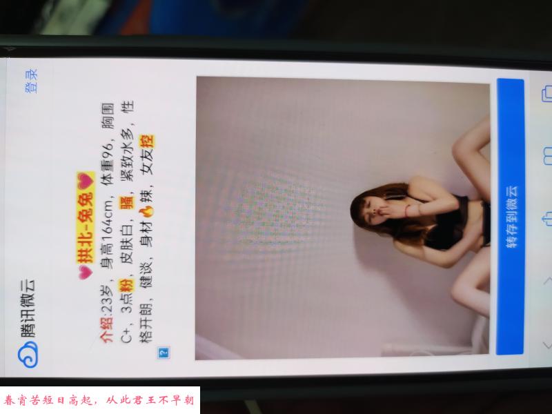 拱北兔兔 第2张