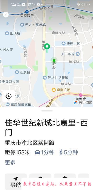 紫薇路熟女风信子 第3张